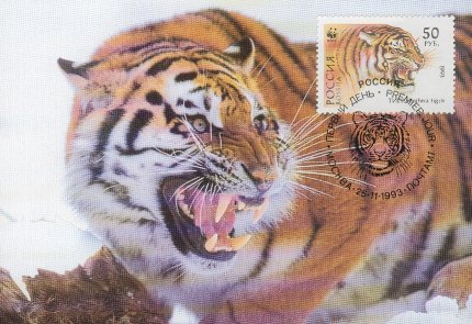 tigre timbré