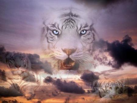 tigre irreel