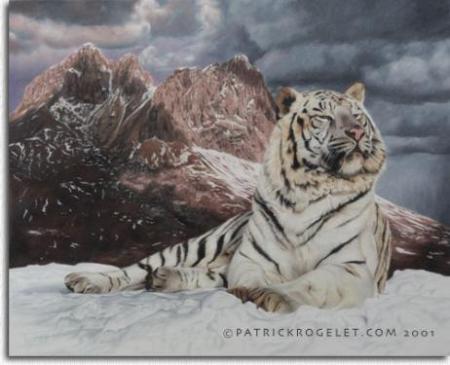 tigre